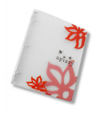 Frosted Clear 3 Ring Binders